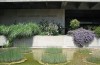 museo gulbenkian